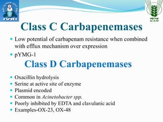 PCR based Detection of Carbapenamases: Different primers and their ...
