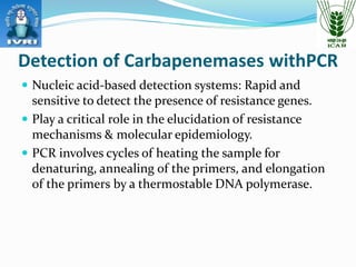 PCR based Detection of Carbapenamases: Different primers and their ...