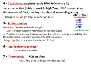 4 - Taq Polymerase (heat stable DNA Polymerase III)
An enzyme that ( able to work in high Temo. 95 C )moves along
the segment of DNA, reading its code and assembling a copy
Range 0.2ul of (in 10µl of reaction mix)
-------------------------------------------------------------------------------------------------------------------
5- Buffer solution
•Contains Divalent cations like Mg+2
-- Mg2+
(cofactor that DNA Polymerase III needs to work)
-- Provides suitable chemical environment for optimum activity and stability the
DNA polymerase and other components of the reaction.
Range - 1µl ( for a total reaction mixture of 10 µl)
---------------------------------------------------------------------------------------------------------------------------------------------------------------------
6 - Sterile deionized water
It’s quantity is variable
--------------------------------------------------------------------------------------------------------------------------------------------------------------------------
7 - Thermocycle PCR machine
(machine that changes temperatures)
 