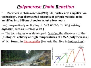 Polymerase Chain Reaction
• Polymerase chain reaction (PCR) :- Is nucleic acid amplification
technology , that allows small amounts of genetic material to be
amplified into billions of copies in just a few hours .
---( enzymatically replicating of DNA without using a living
organism, such as E. coli or yeast )
--- The techniques was developed based on the discovery of the
(biological activity at high temperatures of DNA polymerases )
Which found in thermo.philes (bacteria that live in hot springs).
 