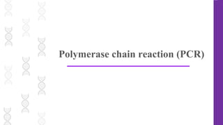 Polymerase chain reaction (PCR)
 