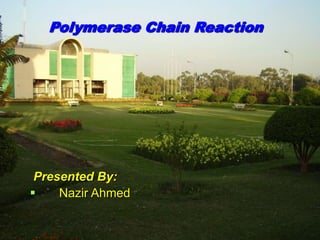 Presented By:
 Nazir Ahmed
Polymerase Chain Reaction
 