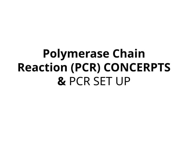 PCR CONCERPTS & PCR SET UP LECTURE.pptx. | PPT