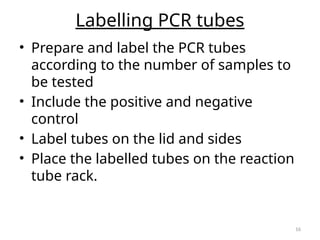 PCR CONCERPTS & PCR SET UP LECTURE.pptx. | PPTX