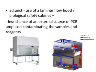 •adjunct - use of a laminar flow hood / biological safety cabinet – 
- less chance of an external source of PCR amplicon contaminating the samples and reagents  