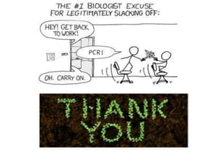 Pcr  contamination prevention