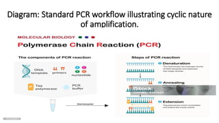 Pcr Methods Flowchart POLYMERASE CHAIN REACTION PCR_DR.DEEPA MISHRA.pdf