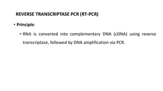 POLYMERASE CHAIN REACTION PCR_DR.DEEPA MISHRA.pdf