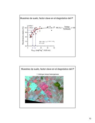 Muestreo de suelo, factor clave en el diagnóstico del P


                                       Red 1
                                                                                                         Testigo
  Rendimiento relativo (%)

                             100       Red 2                                                 RR (%) =               x 100
                                                                                                        Fertilizado

                             90


                             80


                             70                       RR = 100 (1 - e (-0.1562 (P + 6.69))
                                                      R2 = 0.70

                             60
                                   0      8 10
                                             12         20                30           40
                                                             -1
                                         PBray1 (mgP kg , 0-20 cm)




 Muestreo de suelo, factor clave en el diagnóstico del P

                                                  1: distinguir áreas heterogéneas




                                                                                                          enero 1999
                                                          3                                               25 de Mayo
                                                                                                          (Buenos Aires)
                                                                  2
                                                                      1




                                                                                                                            13
 