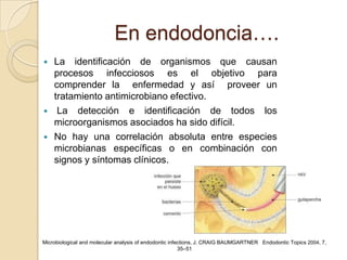 En endodoncia….
   La identificación de organismos que causan
    procesos infecciosos es el objetivo para
    comprender la enfermedad y así proveer un
    tratamiento antimicrobiano efectivo.
    La detección e identificación de todos los
    microorganismos asociados ha sido difícil.
   No hay una correlación absoluta entre especies
    microbianas específicas o en combinación con
    signos y síntomas clínicos.




Microbiological and molecular analysis of endodontic infections, J. CRAIG BAUMGARTNER Endodontic Topics 2004, 7,
                                                         35–51
 