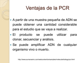 Ventajas de la PCR

   A partir de una muestra pequeña de ADN se
    puede obtener una cantidad considerable
    para el estudio que se vaya a realizar.
   El producto se puede utilizar                                         para
    clonar, secuenciar y análisis.
   Se puede amplificar ADN de cualquier
    organismo vivo o muerto.

       http://www.sumanasinc.com/webcontent/anisamples/molecularbiology/pcr.html
 