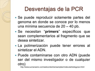 Desventajas de la PCR
 Se puede reproducir solamente partes del
  genoma en donde se conoce por lo menos
  una mínima secuencia de 20 – 40 pb.
 Se necesitan ―primers‖ específicos que
  sean complementarios al fragmento que se
  desea sintetizar.
 La polimerización puede tener errores al
  sintetizar el ADN.
 Puede contaminarse con otro ADN (puede
  ser del mismo investigador o de cualquier
  otro)
    http://www.sumanasinc.com/webcontent/anisamples/molecularbiology/pcr.html
 