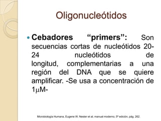 Oligonucleótidos

 Cebadores                        Son    “primers”:
 secuencias cortas de nucleótidos 20-
 24            nucleótidos           de
 longitud, complementarias a una
 región del DNA que se quiere
 amplificar. -Se usa a concentración de
 1 M-


  Microbiología Humana, Eugene W. Nester et al, manual moderno, 5ª edición, pág. 262.
 