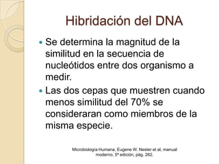 Hibridación del DNA
 Se determina la magnitud de la
  similitud en la secuencia de
  nucleótidos entre dos organismo a
  medir.
 Las dos cepas que muestren cuando
  menos similitud del 70% se
  consideraran como miembros de la
  misma especie.

       Microbiología Humana, Eugene W. Nester et al, manual
                   moderno, 5ª edición, pág. 262.
 