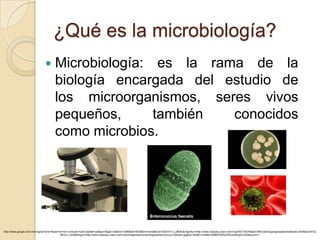 ¿Qué es la microbiología?
                                      Microbiología: es la rama de la
                                       biología encargada del estudio de
                                       los microorganismos, seres vivos
                                       pequeños,      también  conocidos
                                       como microbios.




http://www.google.com.mx/imgres?q=e+fecali+en+el+conducto+radicular&hl=es&sa=X&gbv=2&biw=1366&bih=643&tbm=isch&tbnid=33idI101o_y9kM:&imgrefurl=http://www.iztacala.unam.mx/rrivas/NOTAS/Notas13Microbiologia/genpatpersistentes.html&docid=lCj
                                            AfVcLL-ctuM&imgurl=http://www.iztacala.unam.mx/rrivas/imagenes/microbiologia/enterococcus-faecalis.jpg&w=192&h=224&ei=MMi9T9WsGKKi2wWxj4CHDw&zoom=1
 