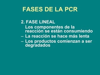 FASES DE LA PCR <ul><ul><ul><ul><li>2. FASE LINEAL </li></ul></ul></ul></ul><ul><ul><ul><ul><li>Los componentes de la reac...