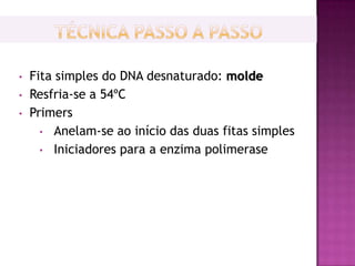 •   Fita simples do DNA desnaturado: molde
•   Resfria-se a 54ºC
•   Primers
      • Anelam-se ao início das duas fitas simples
      • Iniciadores para a enzima polimerase
 