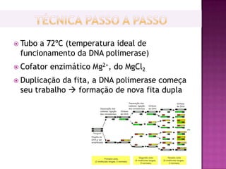  Tuboa 72ºC (temperatura ideal de
 funcionamento da DNA polimerase)
 Cofator   enzimático Mg2+, do MgCl2
 Duplicaçãoda fita, a DNA polimerase começa
 seu trabalho  formação de nova fita dupla
 