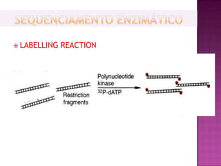  LABELLING   REACTION
 