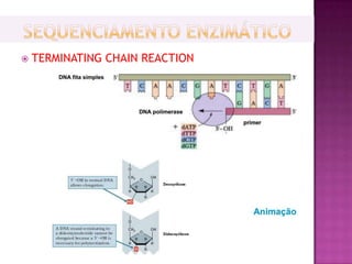    TERMINATING CHAIN REACTION
 