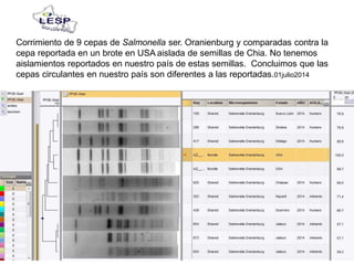 Corrimiento de 9 cepas de Salmonella ser. Oranienburg y comparadas contra la
cepa reportada en un brote en USA aislada de semillas de Chia. No tenemos
aislamientos reportados en nuestro país de estas semillas. Concluimos que las
cepas circulantes en nuestro país son diferentes a las reportadas.01julio2014
 