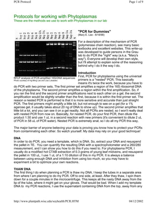 PCR Protocol                                                                               Page 1 of 9



Protocols for working with Phytoplasmas
These are the methods we use to work with Phytoplasmas in our lab


                                                  "PCR for Dummies"
                                                  (Mary E. Lee - 8/18/98)

                                                  For a description of the mechanism of PCR
                                                  (polymerase chain reaction), see many basic
                                                  textbooks and excellent websites. This write-up
                                                  was developed to guide persons in the Grau
                                                  lab to do PCR the "right" way (a.k.a. "Mary's
                                                  way"). Everyone will develop their own style,
                                                  but I'll attempt to explain some of the reasoning
                                                  behind why I do it the way I do.

                                                     Introduction
                                                     First, PCR for phytoplasma using the universal
RFLP analysis of PCR-amplified 16SrDNA sequences
Photo courtesy of Ing-Ming Lee and Lisa Lukaesko     primers is a "nested" PCR. This basically
                                                     means it's twice the work, because you have to
do PCR with two primer sets. The first primer set amplifies a region of the 16S ribosomal DNA
of the phytoplasma. The second primer amplifies a region within the first amplification. So, if
you ran the first and the second primer amplifications next to each other on a gel, the second
amplification would be slightly smaller than the first, because it is within the first primer set. The
reason a nested PCR is performed is that it is more sensitive and accurate than just straight
PCR. The first primers might amplify a little bit, but not enough to see on a gel (for a 1%
agarose gel, it usually takes about 20 ng of DNA to show up). The second primer amplifies that
little bit a lot, and you can see it on a gel readily. Not all PCRs are nested, so I won't really deal
with nested PCR from now on. Basically, for nested PCR, do your first PCR, then dilute the
product 1:30 and use 1 uL in a second reaction with new primers (it's convenient to dilute 2 uL
of PCR in 58 uL of PCR water). Nested PCR is extremely anal, so I do all my PCR this way.

The major barrier of anyone believing your data is proving you know how to protect your PCRs
from contaminating each other. So watch yourself. My data may rely on your good technique!

DNA
In order to do PCR, you need a template, which is DNA. So, extract your DNA and resuspend
the pellet in TE. You can quantify the resulting DNA with a spectrophotometer and a 260/280
measurement, and I can show you how to do this if you need to. For phytoplasma PCR, I
usually do a modified hot CTAB extraction of 0.3 grams of young leaf midveins, and resuspend
the pellet in 100 uL. I use 1 uL of a 1:10 dilution of this in my PCR. It is always a balance
between using enough DNA and inhibition from using too much, so you may have to
experiment a bit to optimize your own reactions.

THAW DNA
The first thing I do when planning a PCR is thaw my DNA. I keep the tubes in a separate area
from where I am planning to do my PCR. Off to one side, at least. After they thaw, I spin them
down for a couple minutes in the microcentrifuge. This keeps all the nasty DNA away from the
lip of the tube, where it might get on your gloves. That would be bad. When I add my template
DNA to my PCR reactions, I use the supernatant containing DNA from the top, away from any



http://www.plantpath.wisc.edu/soyhealth/PCR.HTM                                           04/12/2002
 
