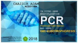 2018
Department of Biology Education
Postgraduate Program
Palangkaraya University
PCRPCR
IN VITRO GENE
MULTIPLICATION
Polymerase Chain Reaction
AND GENE
VISUALIZATIONGEL ELECTROPHORESIS
CHAIDIR ADAM
ACD217004
 