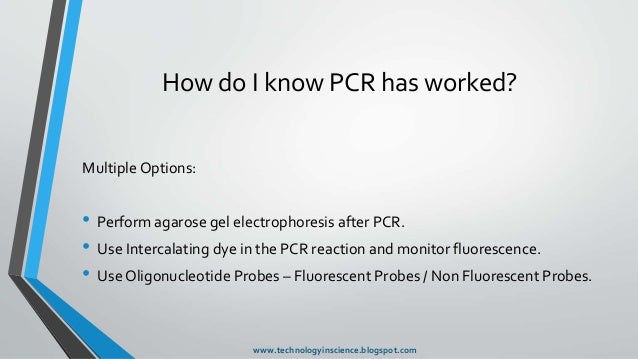 D-PCR-DY-23 Fragenpool | Maxtic