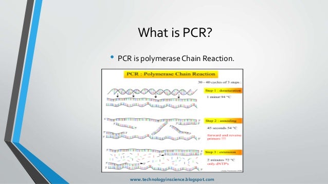 D-PCR-DY-23テスト難易度