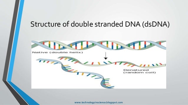 D-PCR-DY-23受験準備