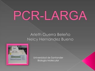 PCR-LARGA Arleth Guerra Beleño Nelcy Hernandez Bueno   Universidad de Santander Biología Molecular 