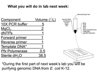 What you will do in lab next week: 
Component Volume (L) 
10X PCR buffer 5 
MgCl2 2 
dNTPs 1 
Forward primer 1 
Reverse primer 1 
Template DNA* 1 
Pfx Polymerase 0.5 
Sterile dH2O 38.5 
*During the first part of next week’s lab you will be 
purifying genomic DNA from E. coli K-12. 
 