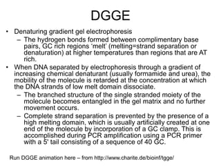 DGGE
• Denaturing gradient gel electrophoresis
– The hydrogen bonds formed between complimentary base
pairs, GC rich regions ‘melt’ (melting=strand separation or
denaturation) at higher temperatures than regions that are AT
rich.
• When DNA separated by electrophoresis through a gradient of
increasing chemical denaturant (usually formamide and urea), the
mobility of the molecule is retarded at the concentration at which
the DNA strands of low melt domain dissociate.
– The branched structure of the single stranded moiety of the
molecule becomes entangled in the gel matrix and no further
movement occurs.
– Complete strand separation is prevented by the presence of a
high melting domain, which is usually artificially created at one
end of the molecule by incorporation of a GC clamp. This is
accomplished during PCR amplification using a PCR primer
with a 5' tail consisting of a sequence of 40 GC.
Run DGGE animation here – from http://www.charite.de/bioinf/tgge/
 