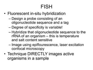 FISH
• Fluorescent in-situ hybridization
– Design a probe consisting of an
oligonucleotide sequence and a tag
– Degree of specificity is variable!
– Hybridize that oligonucleotide sequence to the
rRNA of an organism – this is temperature
and salt content sensitive
– Image using epiflourescence, laser excitation
confocal microscopy
• Technique DIRECTLY images active
organisms in a sample
 
