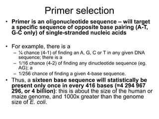 Primer selection
• Primer is an oligonucleotide sequence – will target
a specific sequence of opposite base pairing (A-T,
G-C only) of single-stranded nucleic acids
• For example, there is a
– ¼ chance (4-1) of finding an A, G, C or T in any given DNA
sequence; there is a
– 1/16 chance (4-2) of finding any dinucleotide sequence (eg.
AG); a
– 1/256 chance of finding a given 4-base sequence.
• Thus, a sixteen base sequence will statistically be
present only once in every 416 bases (=4 294 967
296, or 4 billion): this is about the size of the human or
maize genome, and 1000x greater than the genome
size of E. coli.
 