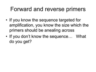 Forward and reverse primers
• If you know the sequence targeted for
amplification, you know the size which the
primers should be anealing across
• If you don’t know the sequence… What
do you get?
 