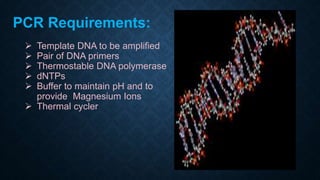 Pcr Introduction Course PCR Introduction | PPTX