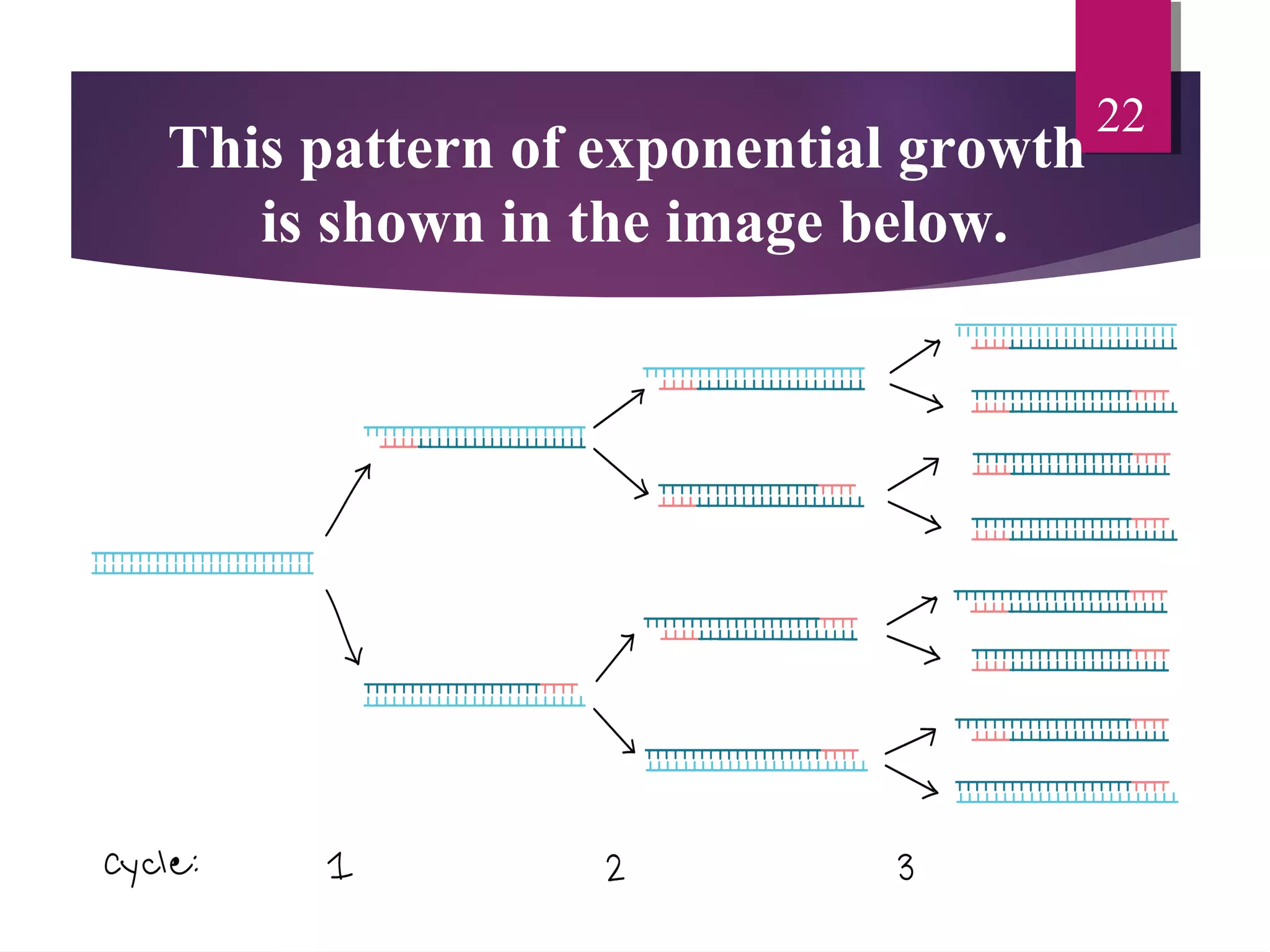 This pattern of exponential growth
is shown in the image below.
22
 
