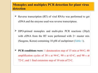 PCR & NON PCR BASED methods for detection.pptx
