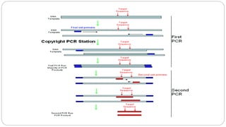 Pcr Condition Optimization Pcr n optimization | PPTX