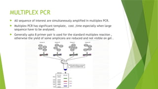 Comprehensivxfnfxjnfxjnfjnje Guide to PCR Techniques, Variants, and ...