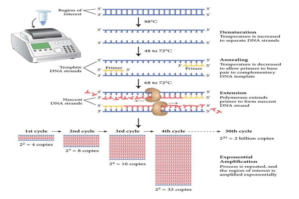 Pcr pcr applications