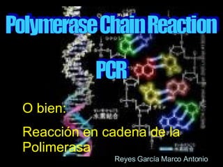 O bien: Reacción en cadena de la Polimerasa Polymerase Chain Reaction PCR Reyes García Marco Antonio 