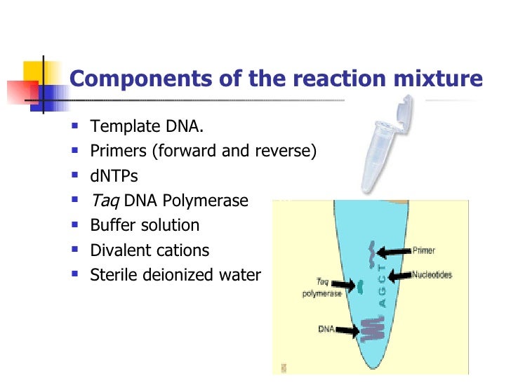 History of polymerase chain reaction