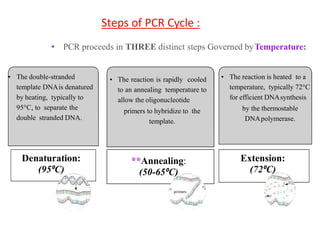 PCR Presentation.pptx | Chemistry | Science