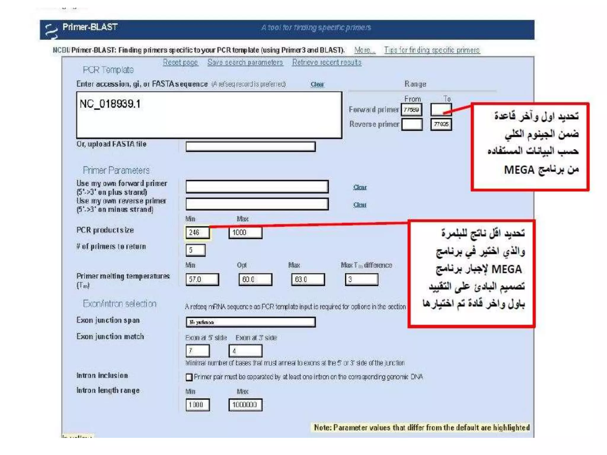 NCBI -Pcr primer design