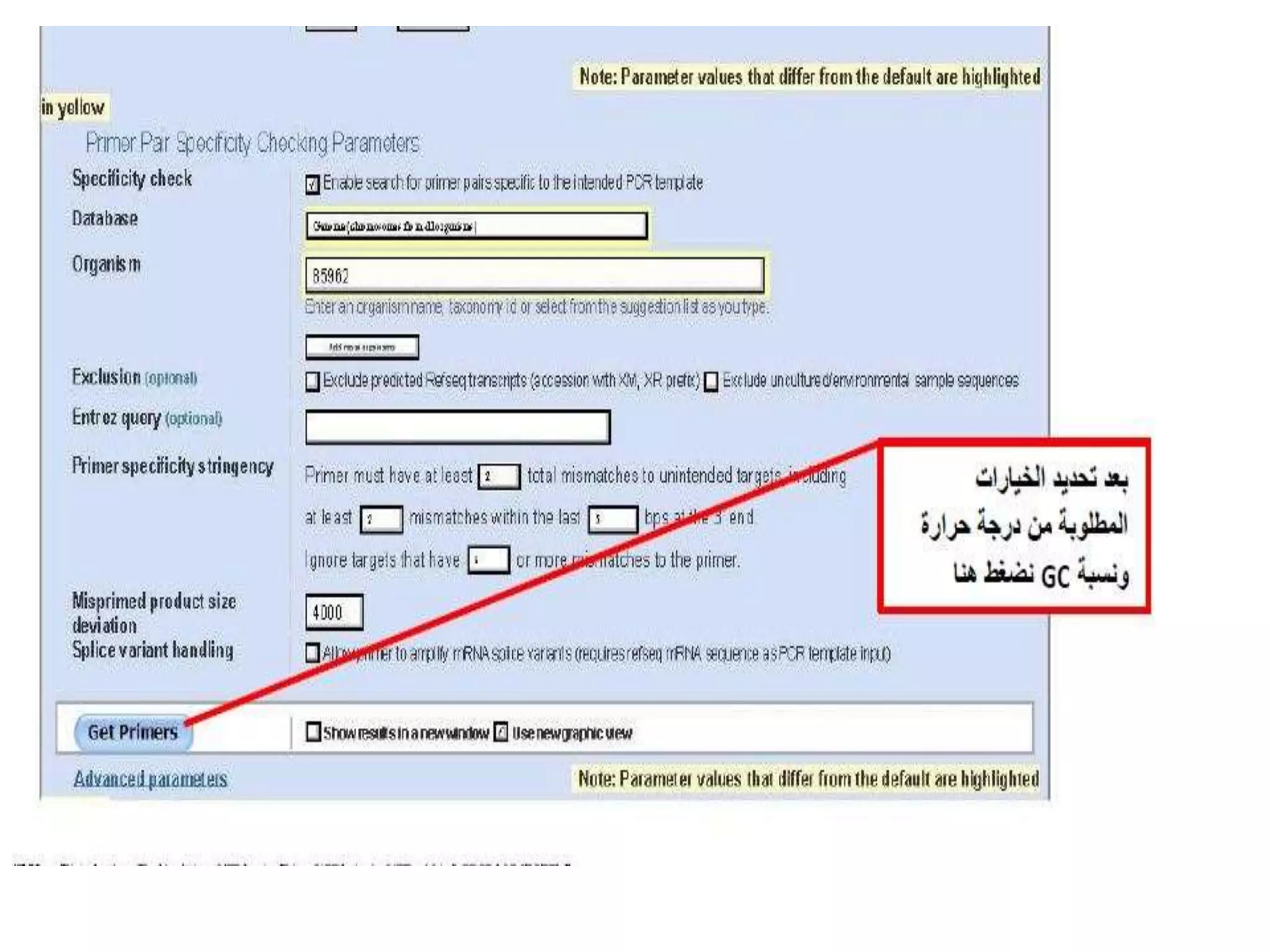 NCBI -Pcr primer design