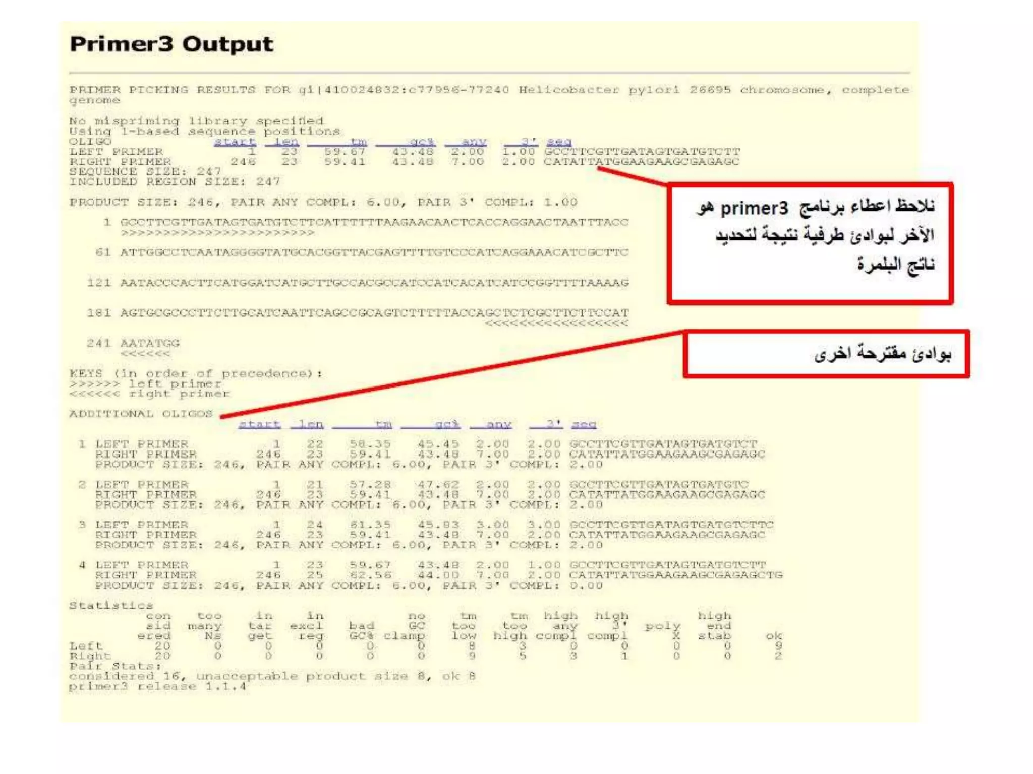NCBI -Pcr primer design
