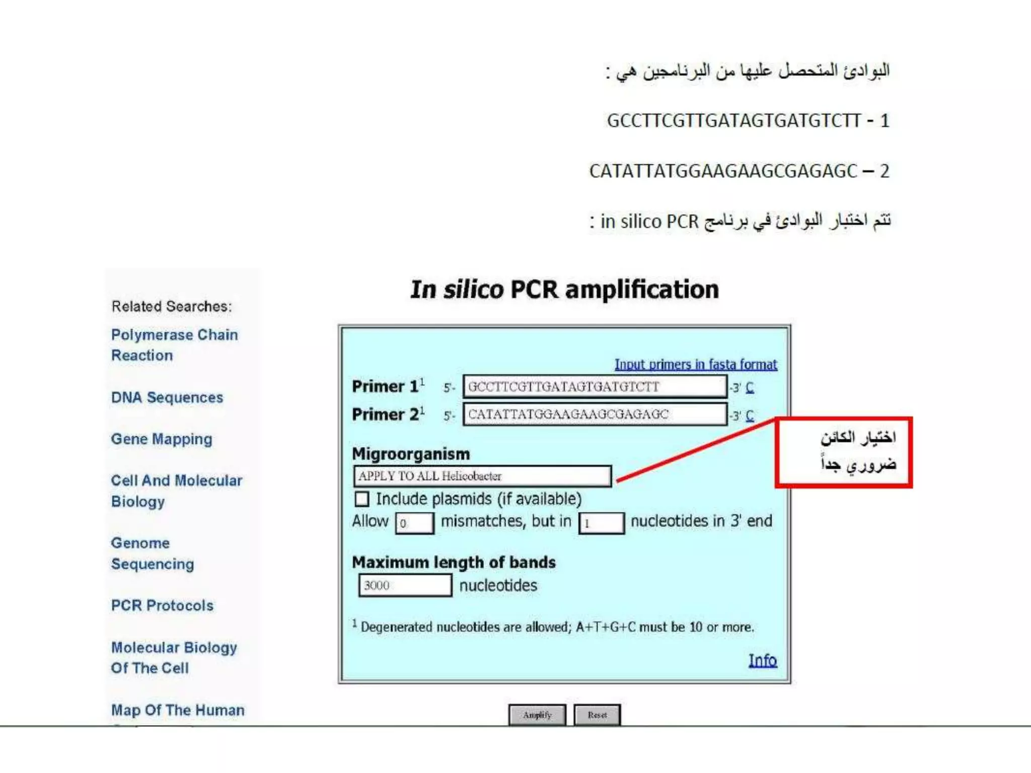 NCBI -Pcr primer design