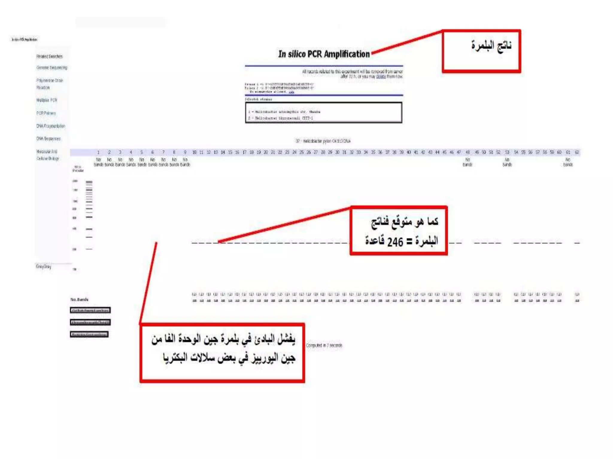 NCBI -Pcr primer design